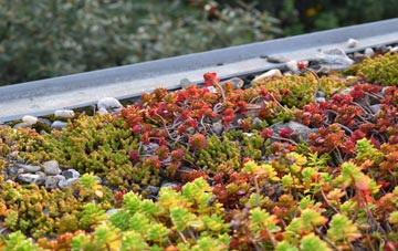 the cost of Woolmer Green green roof installation