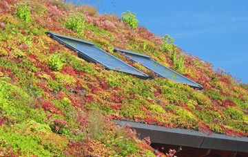 Woolmer Green living roof systems